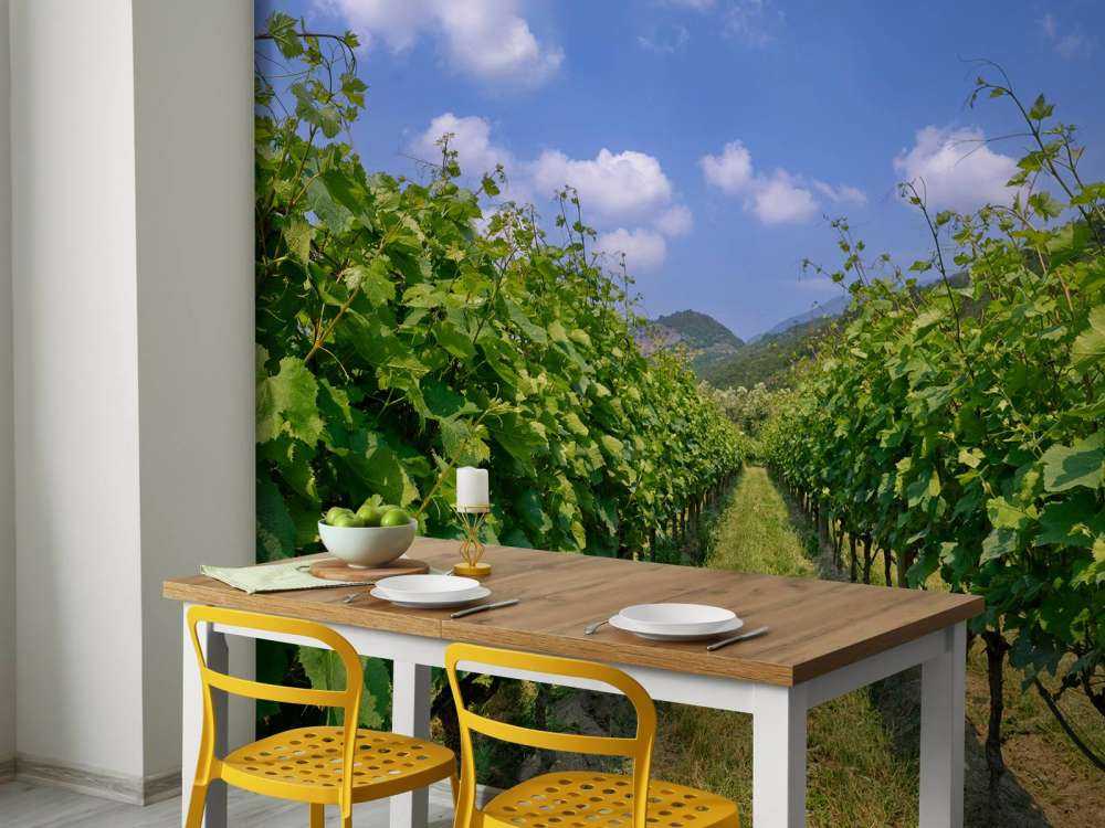 Vignoble en Italie