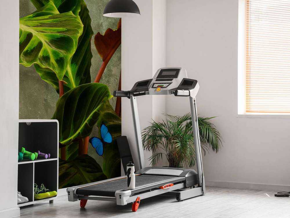 Plante verte avec papillons