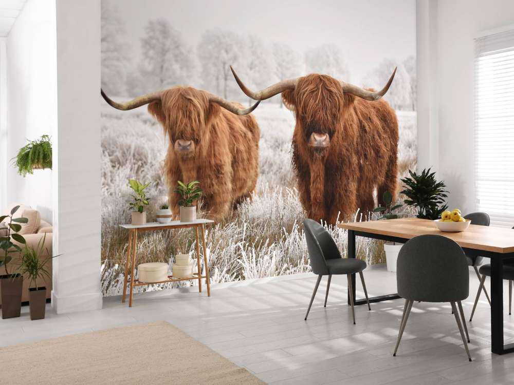 Hiver Highlander