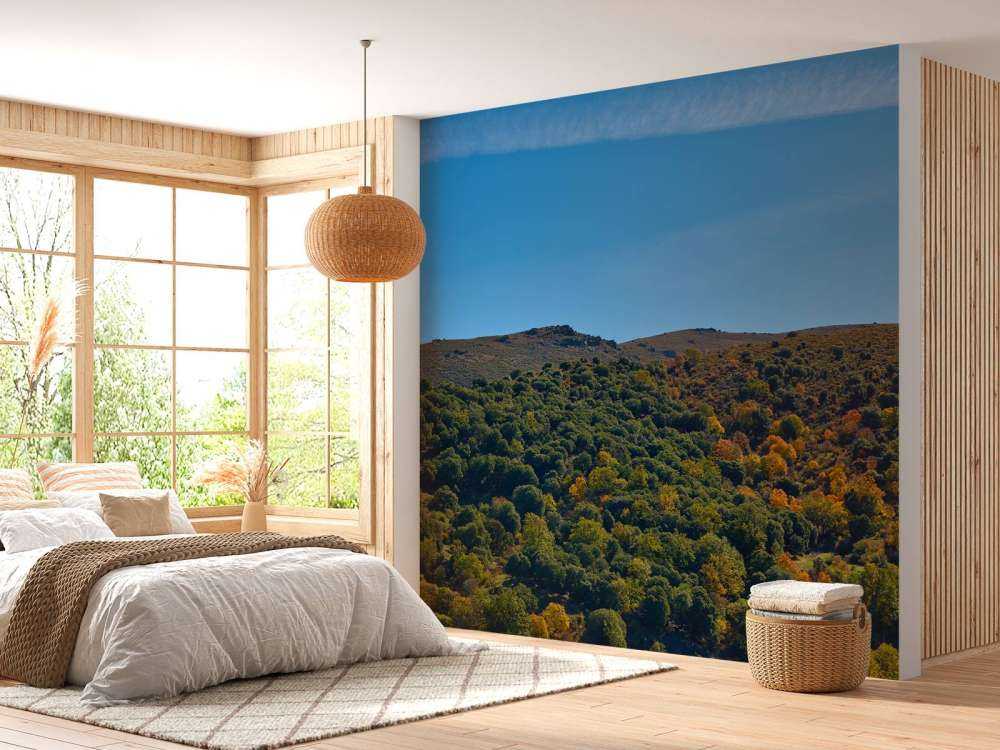 L'automne dans les montagnes