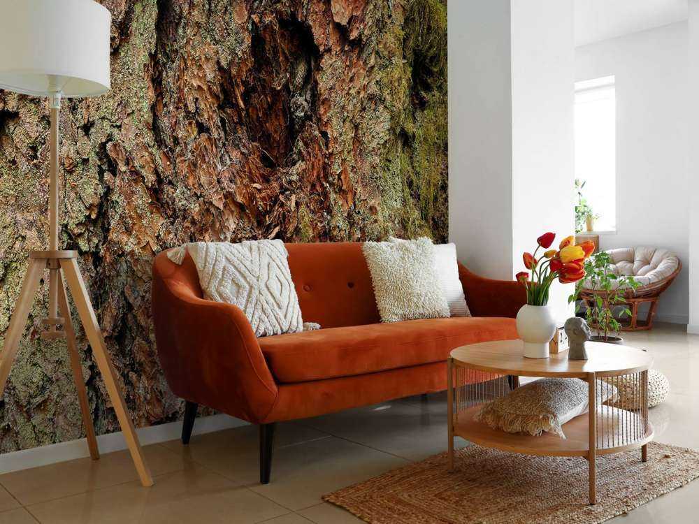 Écorce d'arbre vieil arbre