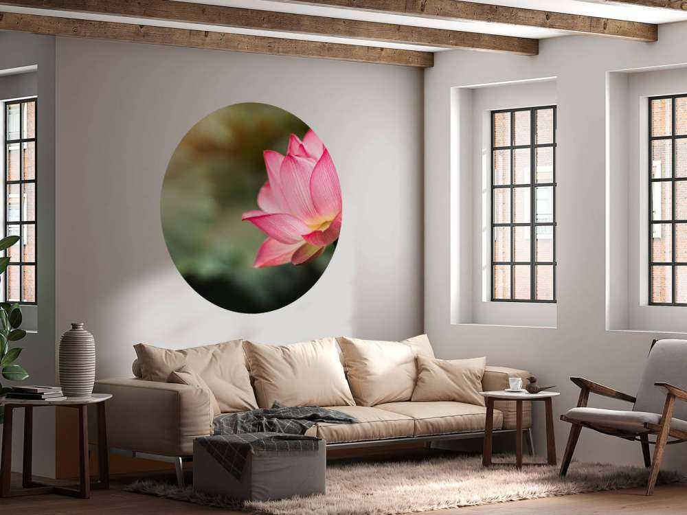 Lotus en vert
