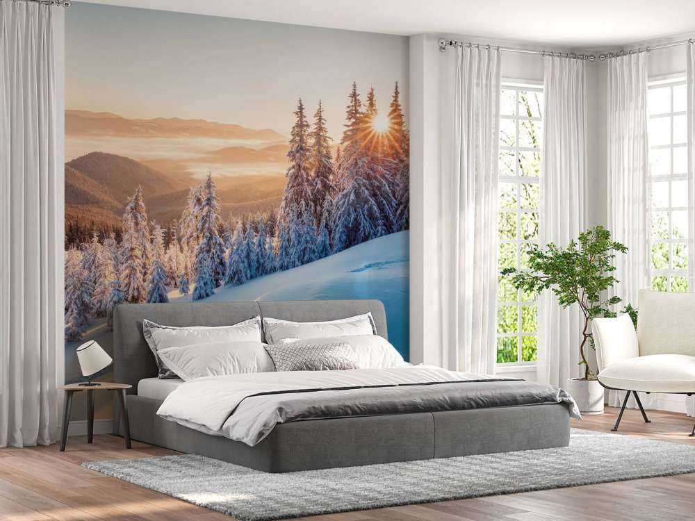 Matin d'hiver dans les montagnes