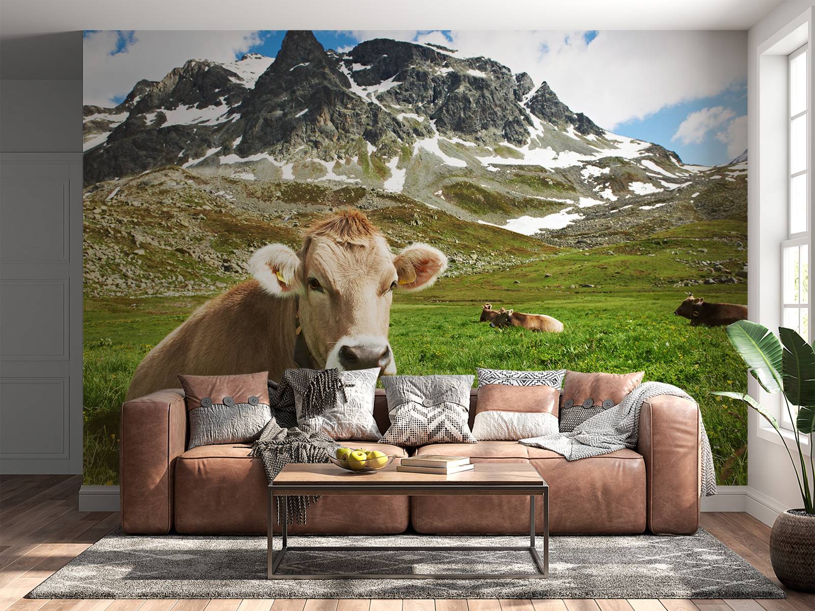 Vache autrichienne