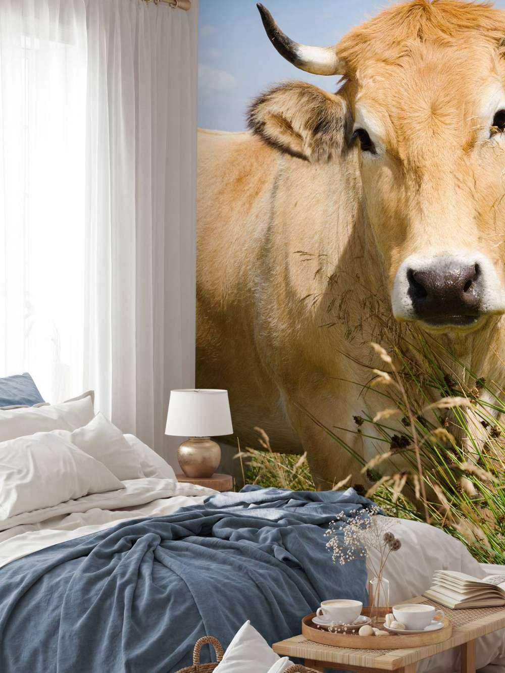 Vache à cornes