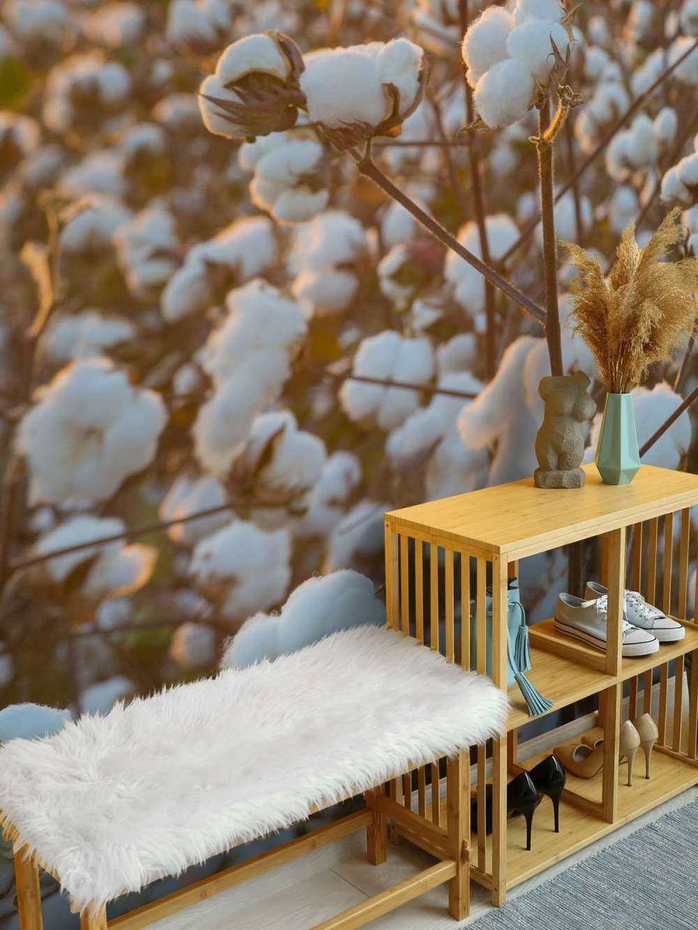 Champ de coton avec un ciel jaune doré