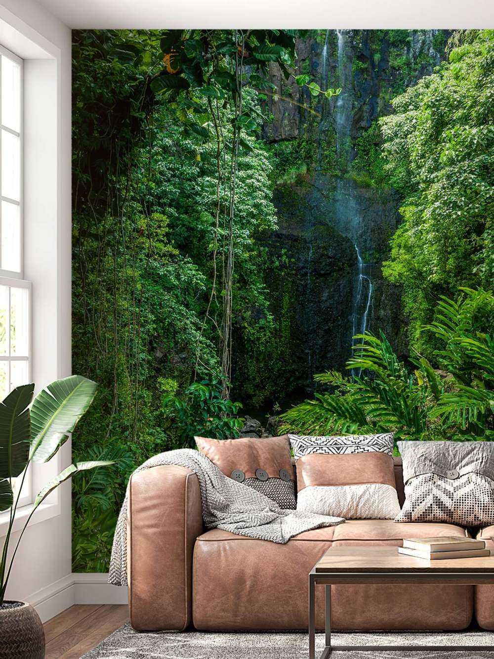 Jungle et pierres