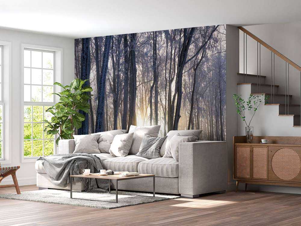 Arbres gelés