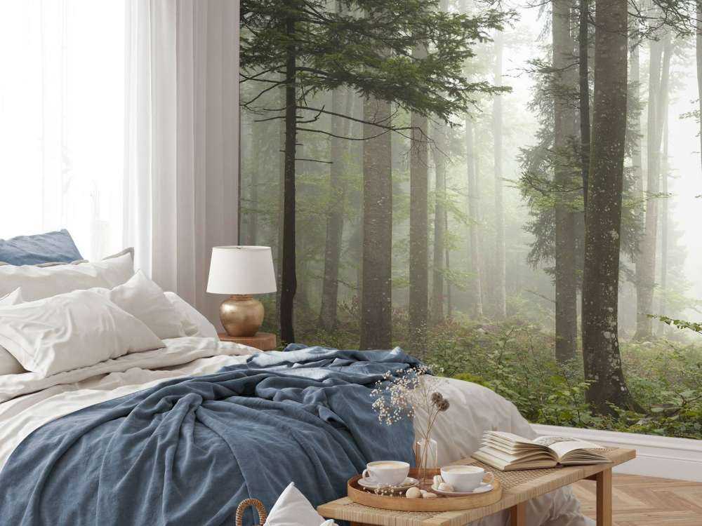 Beau paysage brumeux