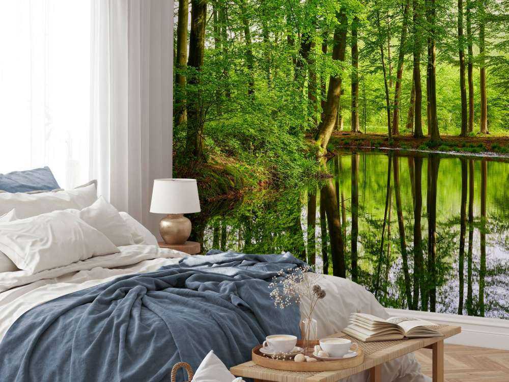 Réflexion d'arbres dans l'eau
