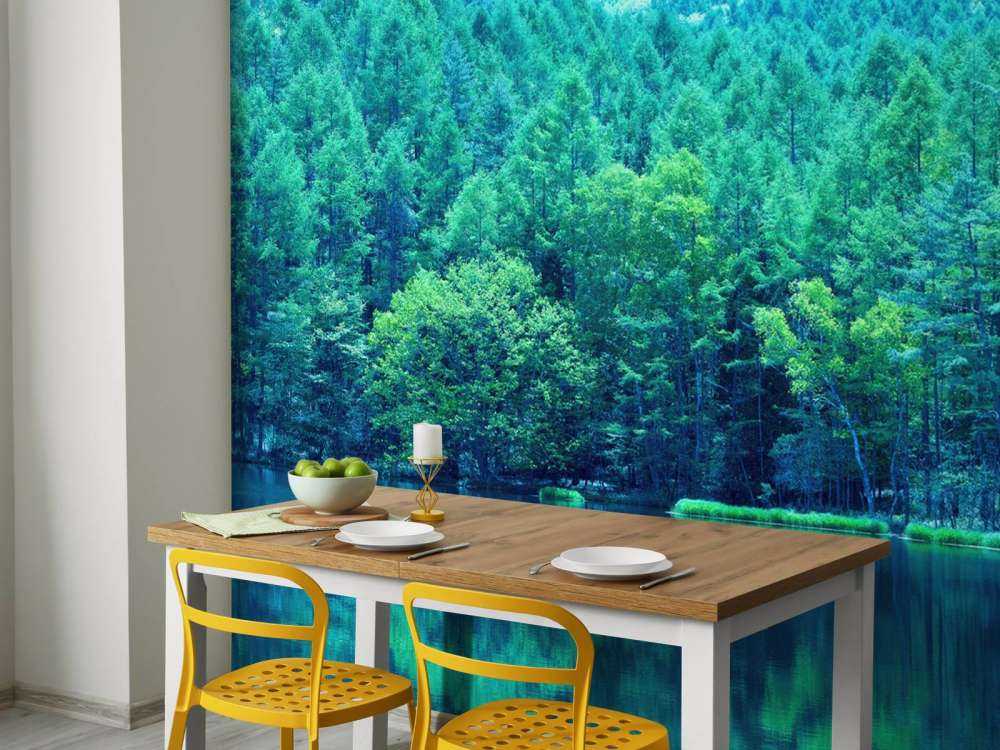 Lac dans une forêt verte