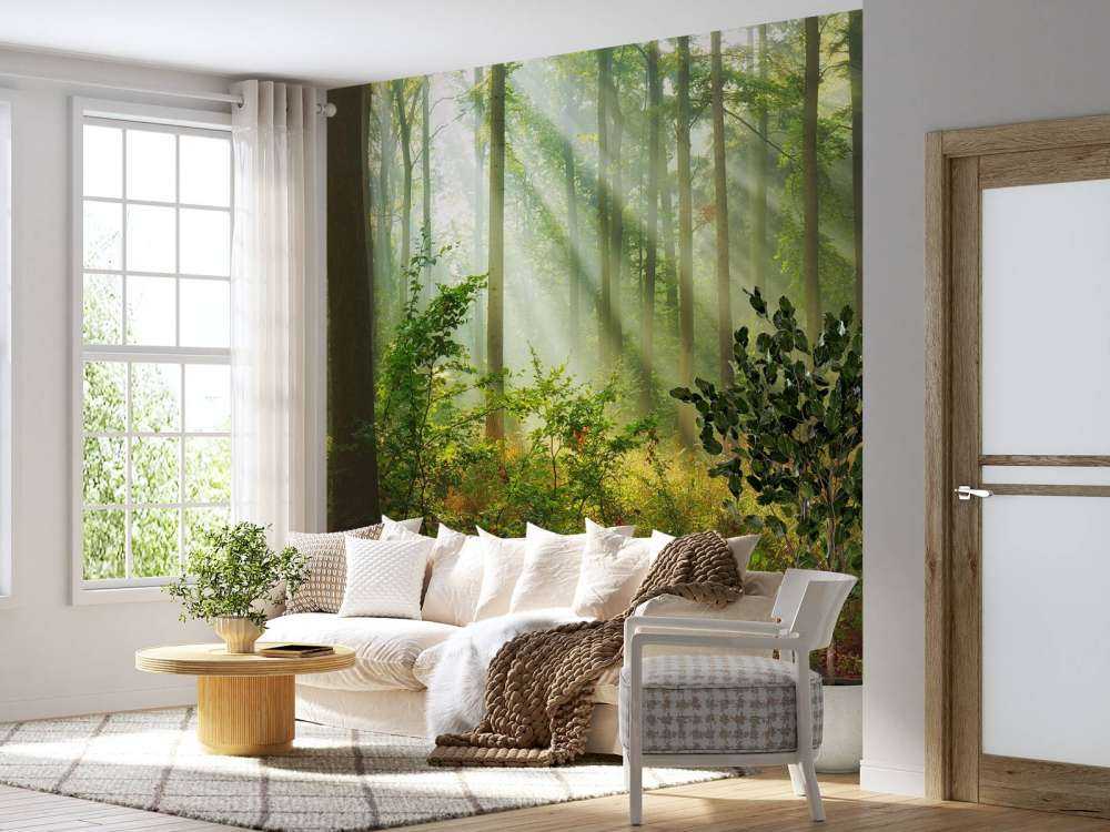 Belle matinée en forêt