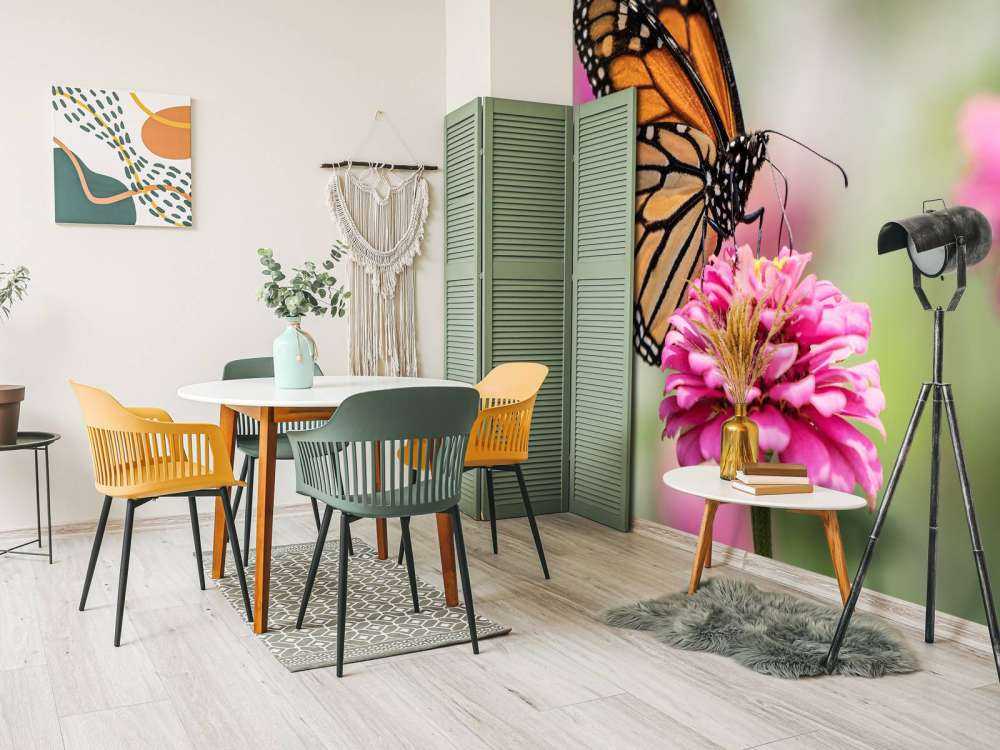 Papillon monarque