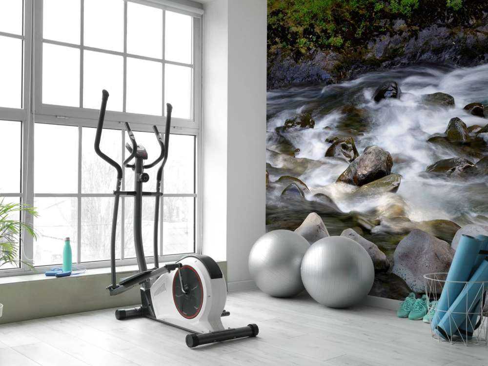 Rivière avec rochers