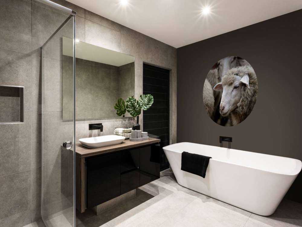 Mouton en gros plan