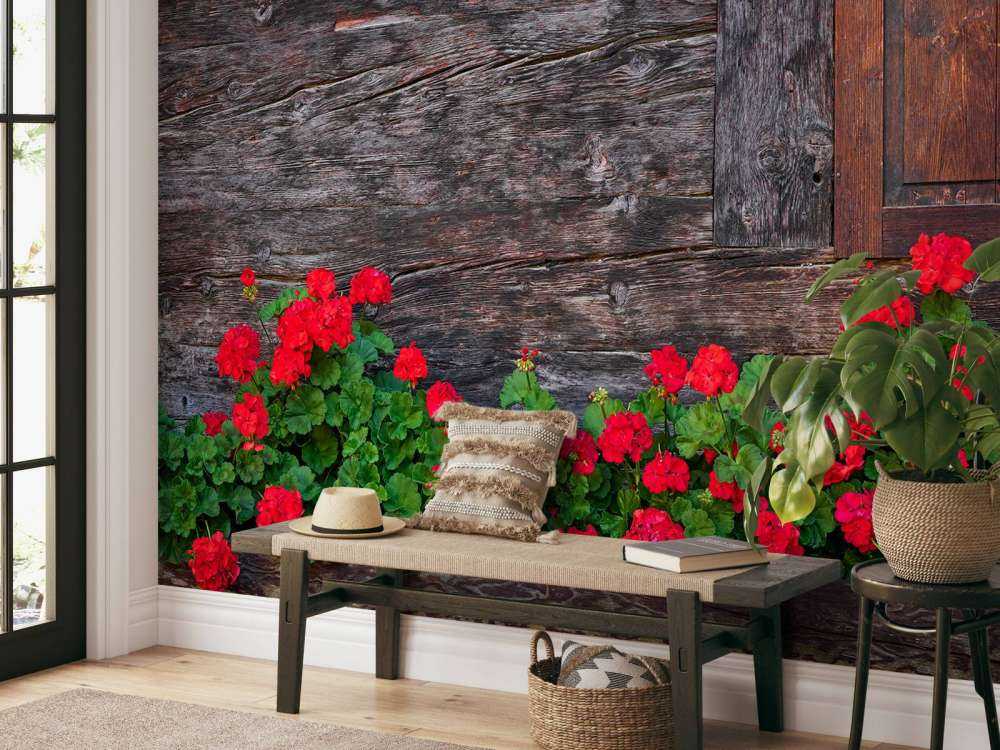 Vieux bois avec des fleurs