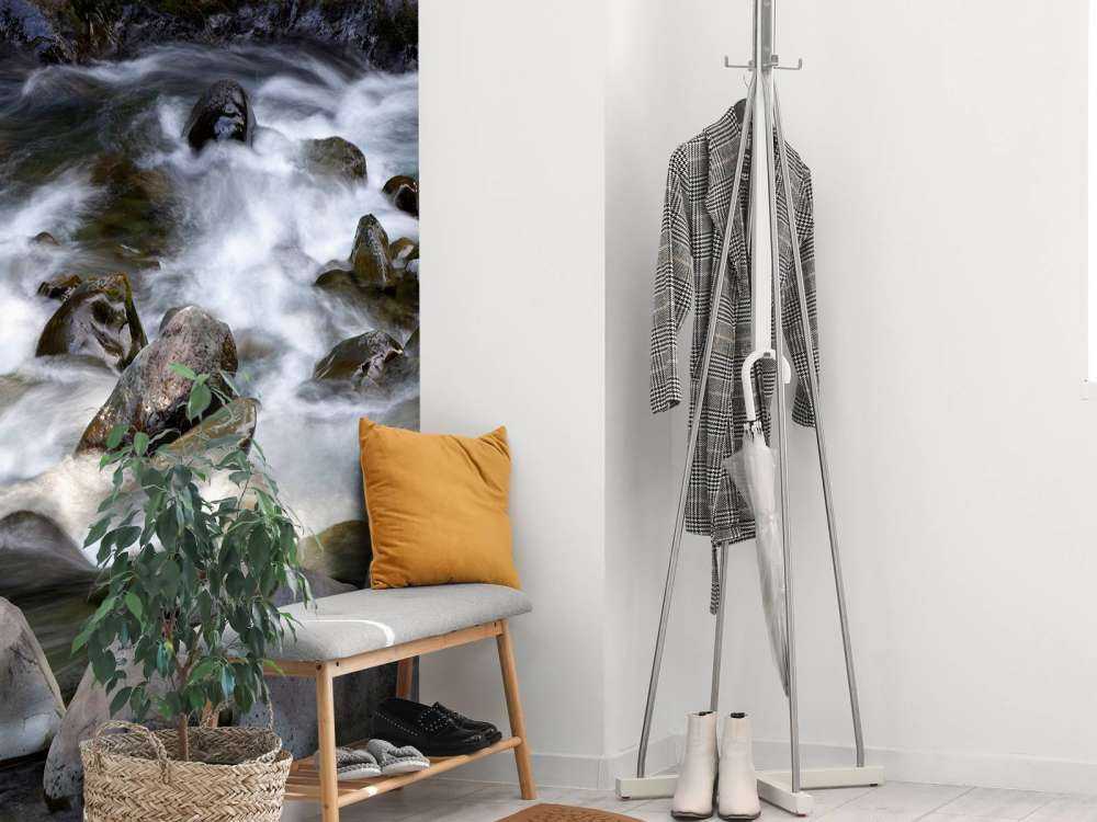 Rivière avec rochers