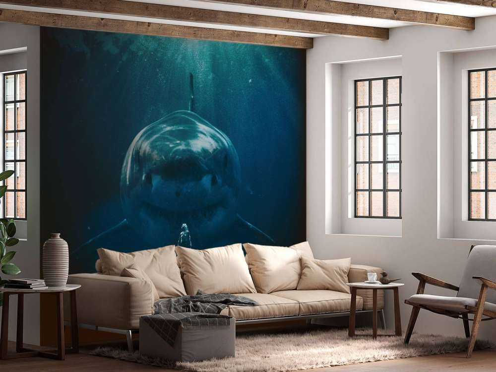 Un grand requin