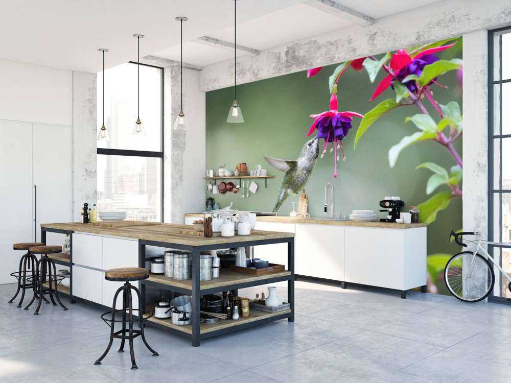 Colibri en vol