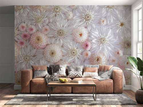 Dahlias roses