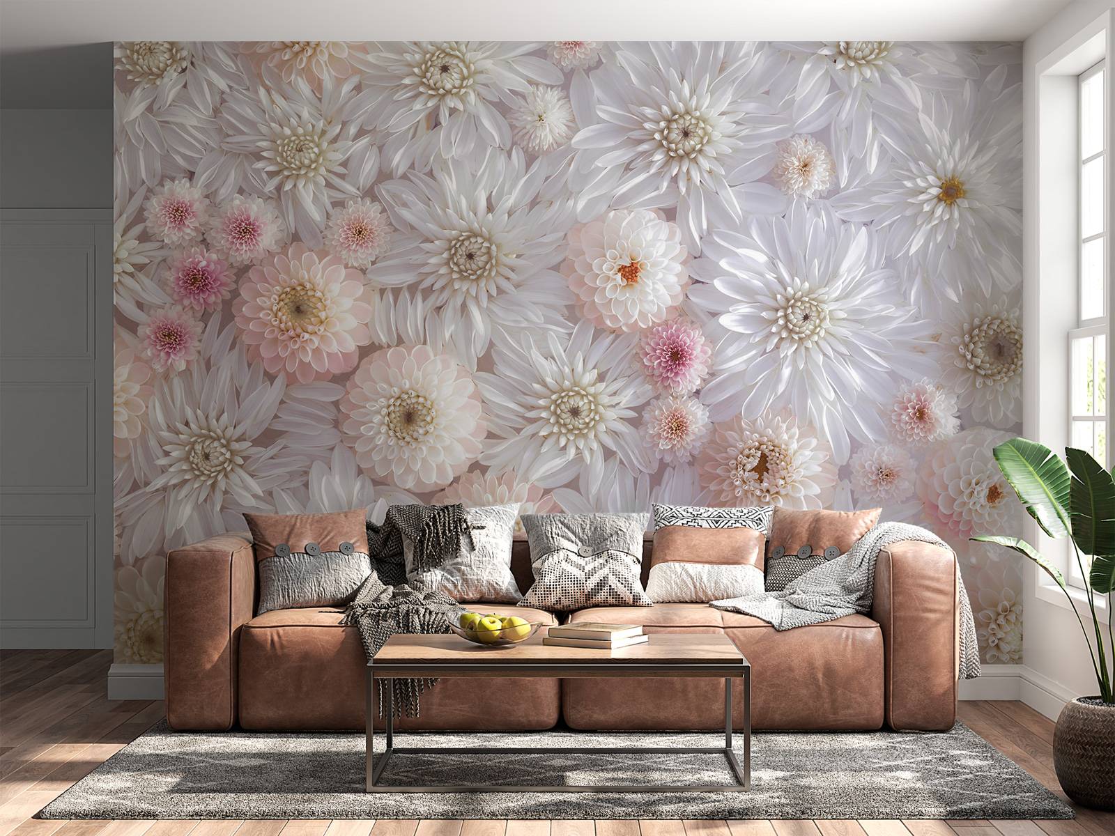 Dahlias roses