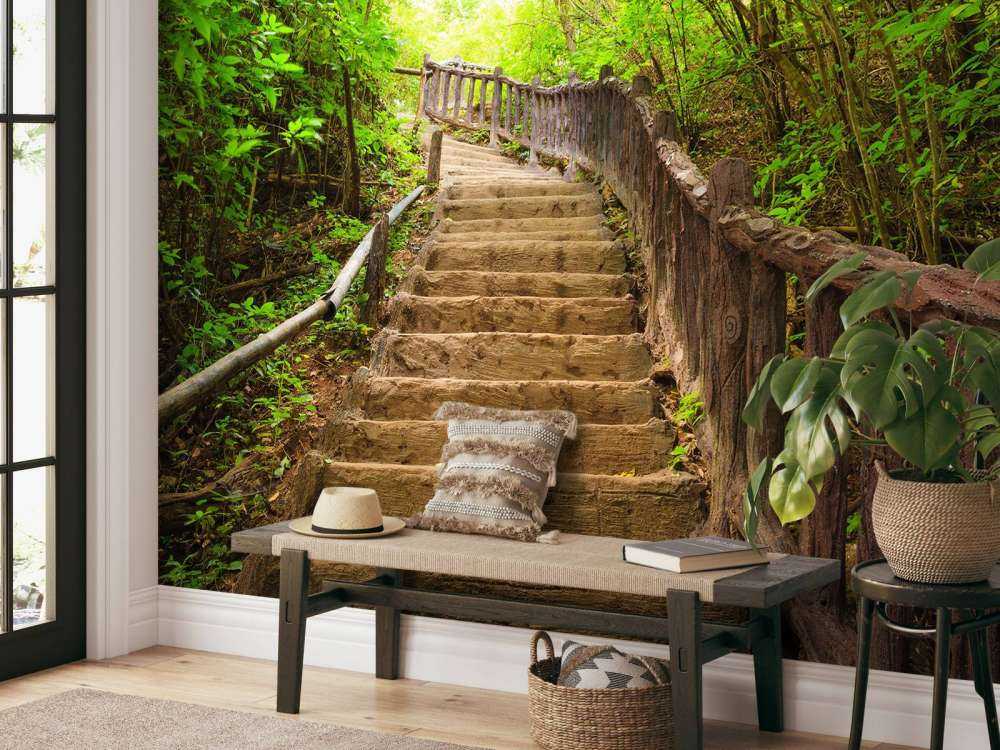 Escalier en forêt
