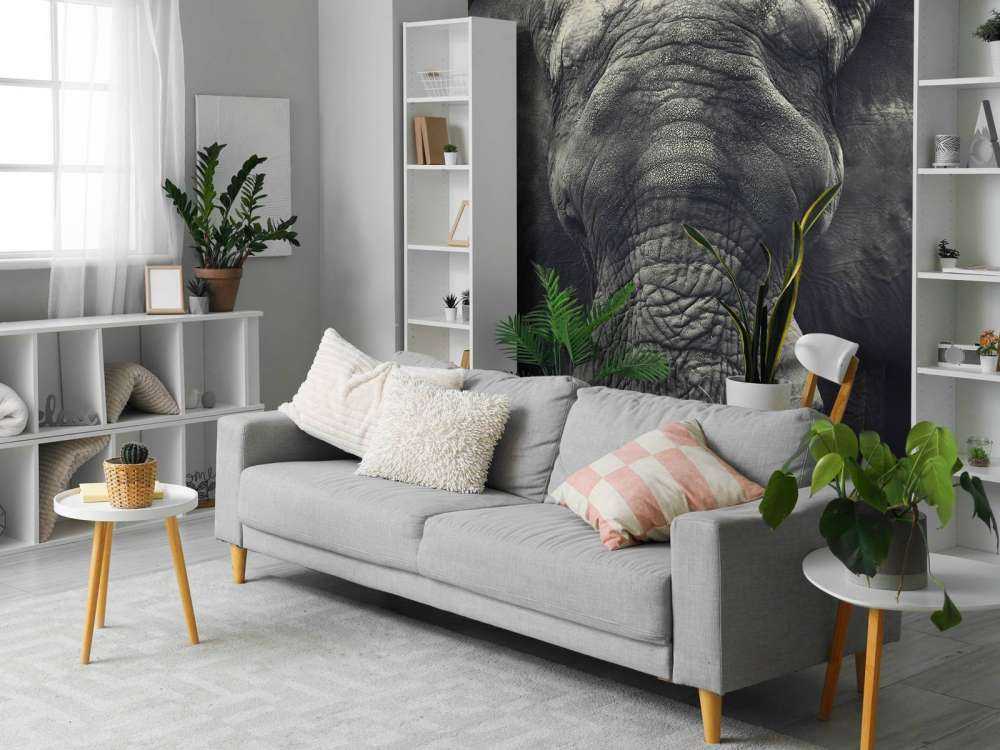 Gros plan sur un éléphant