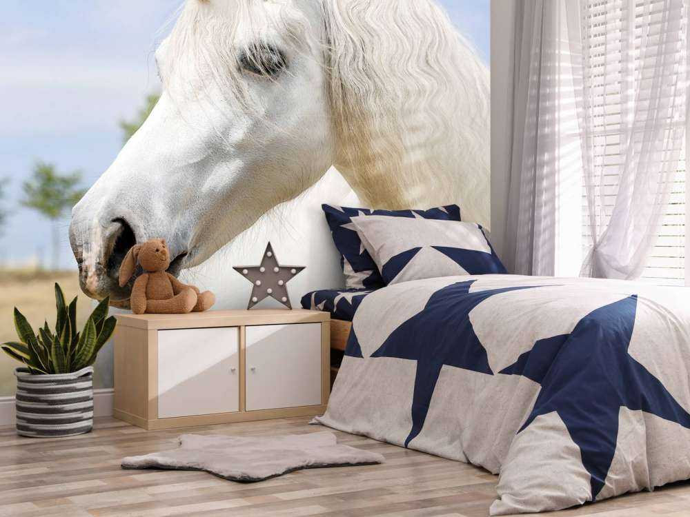 Licorne blanche