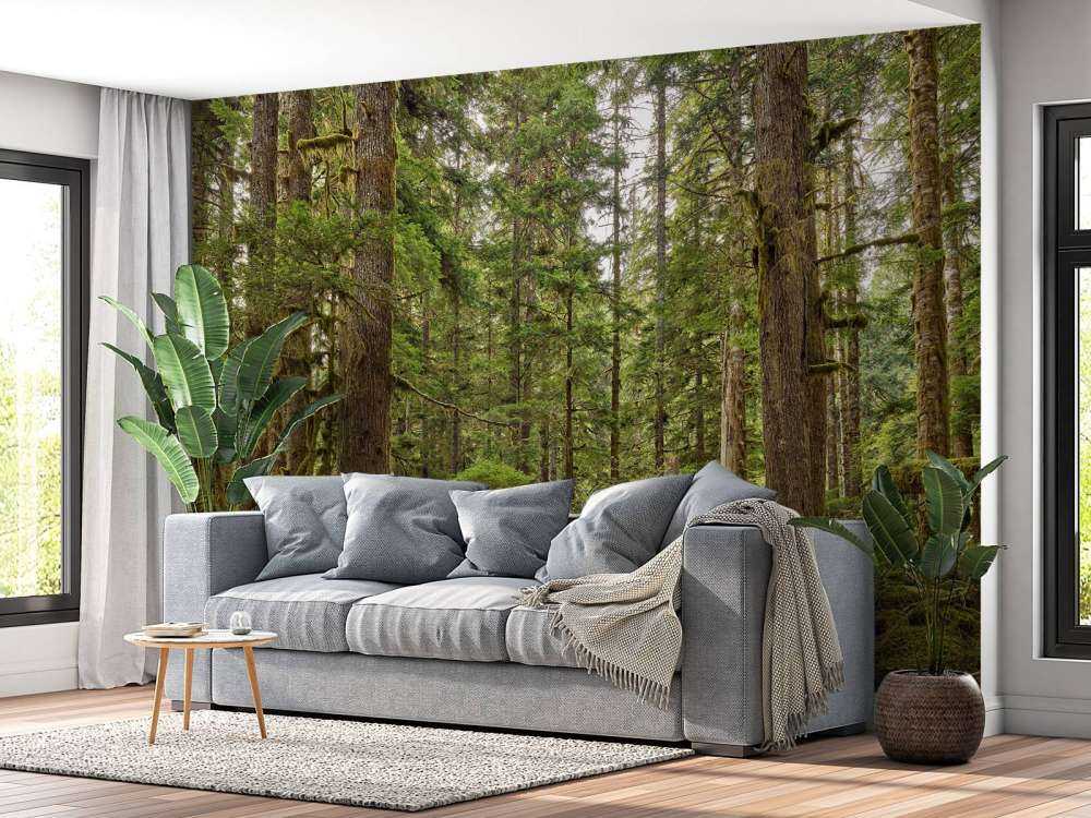 Forêt sauvage