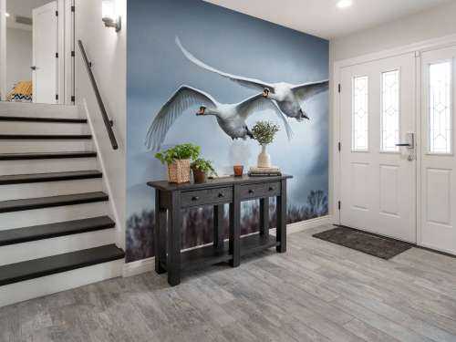 Cygne volant