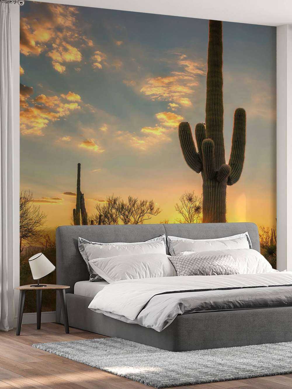 Cactus au coucher du soleil