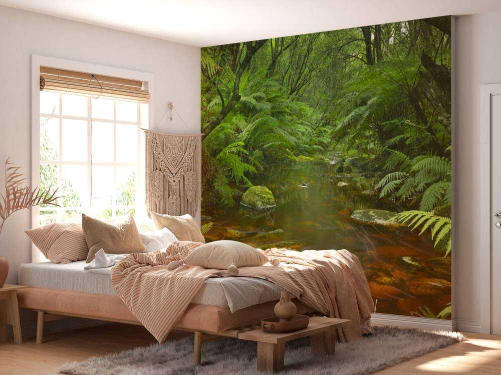 Rivière dans la forêt tropicale