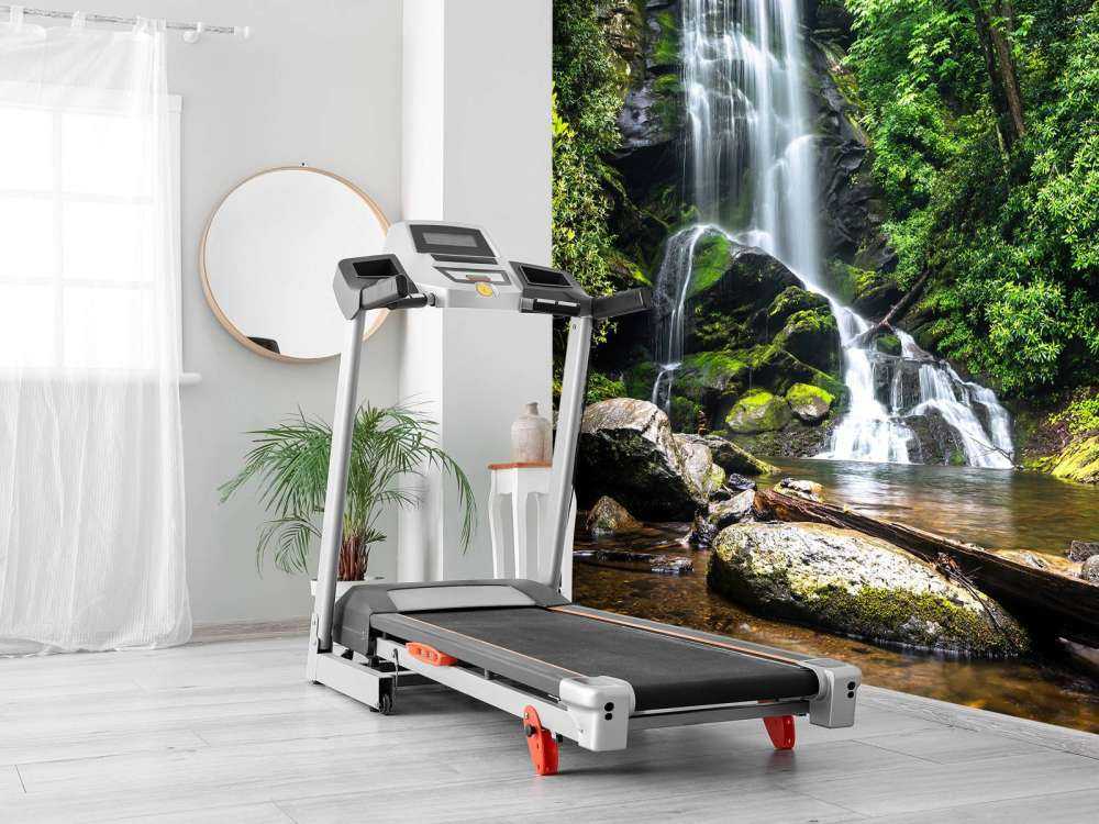 Chute d'eau de la jungle