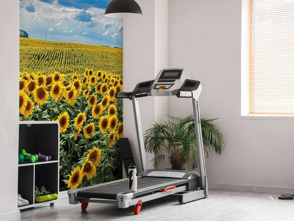 Une prairie pleine de tournesols