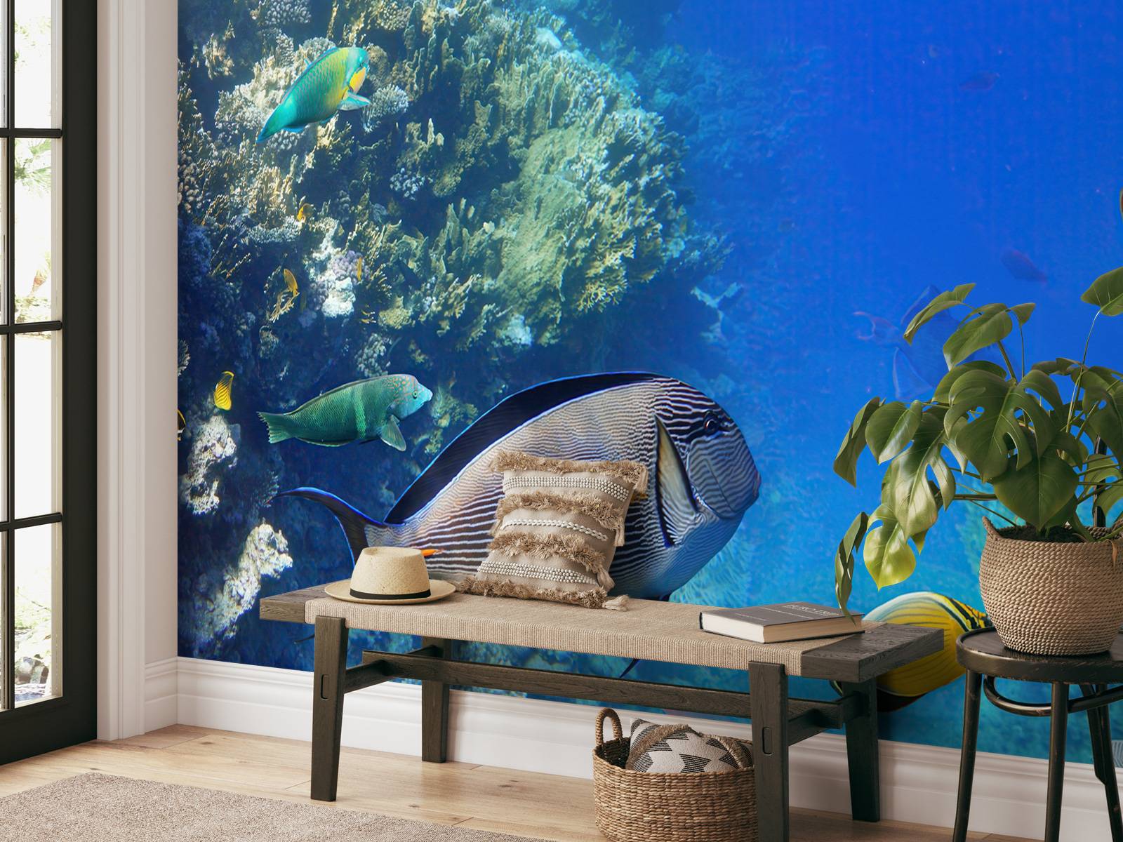 Récif de corail