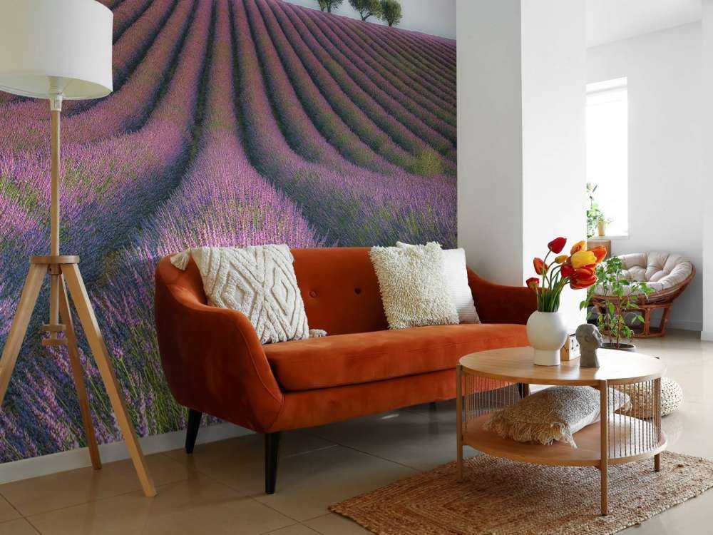Velours de Lavender