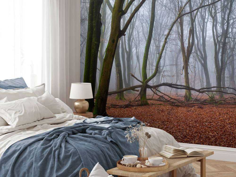 Mystérieuse forêt brumeuse