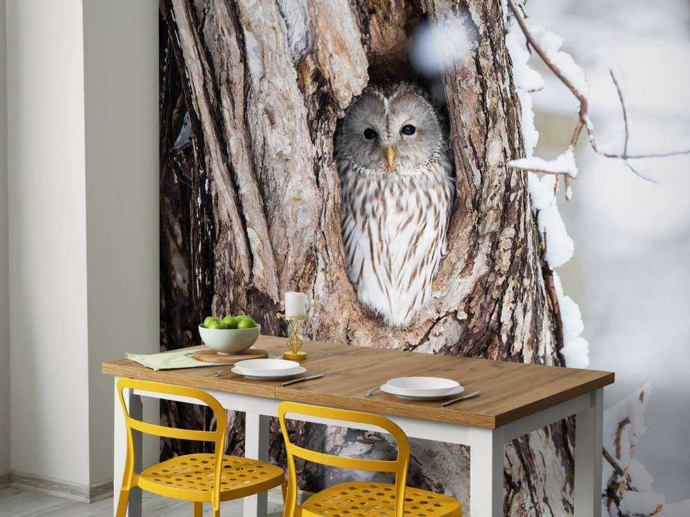 Chouette blanche dans un arbre creux