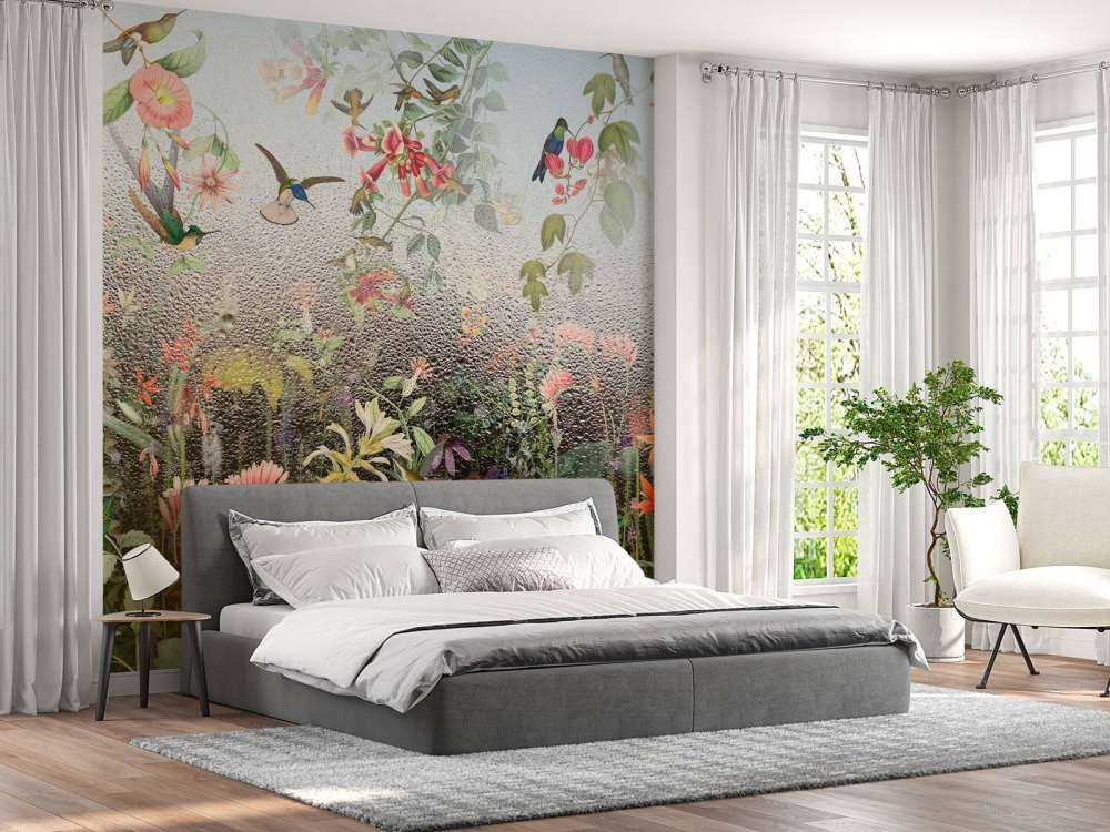 Paradis des Oiseaux Pluvieux