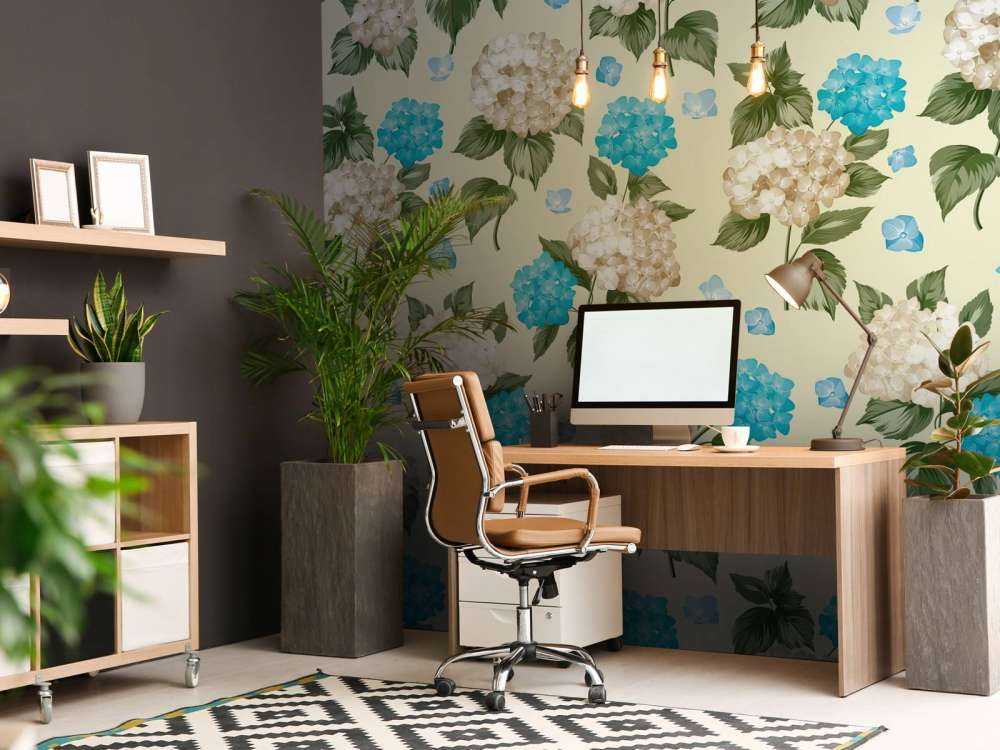 Brise Printanière Hydrangea
