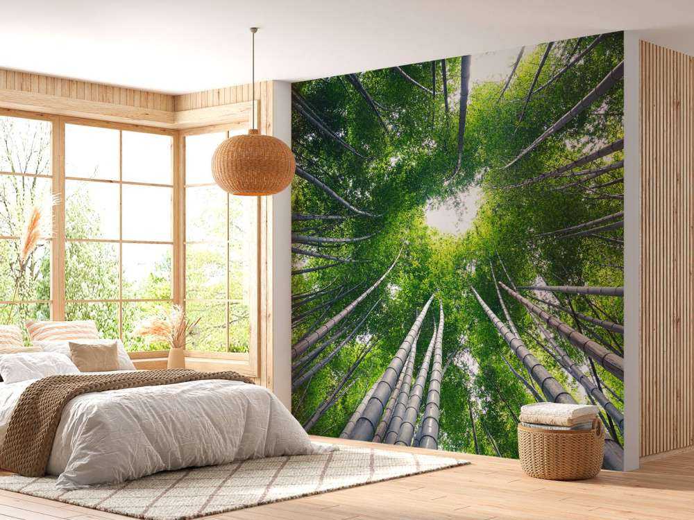 Forêt avec bambou
