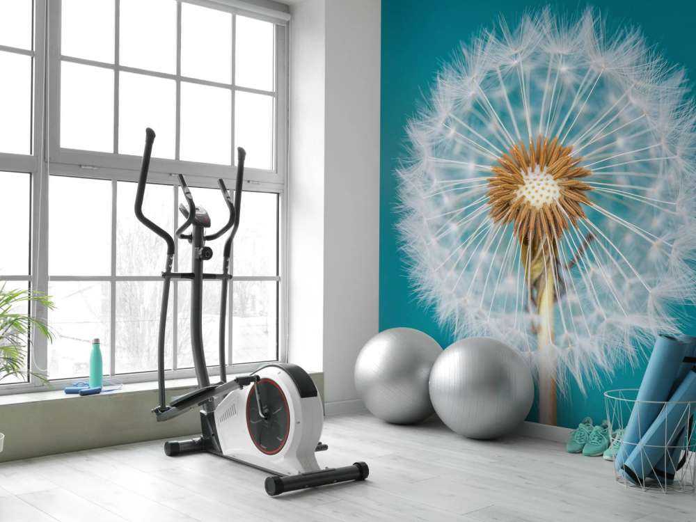 Dandelion