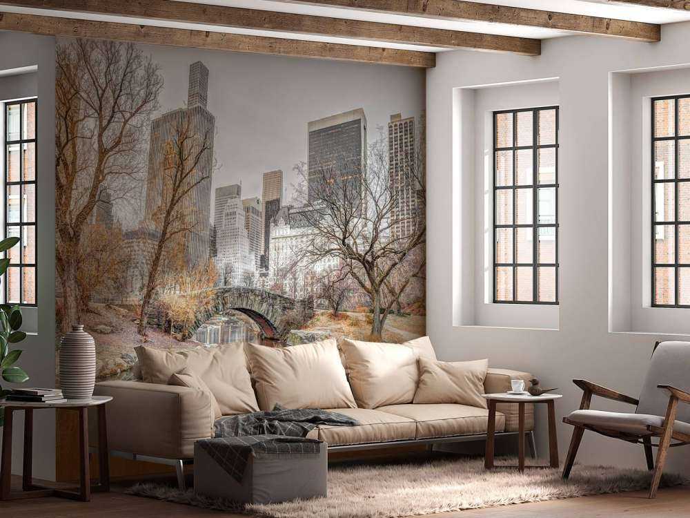 Central park en hiver