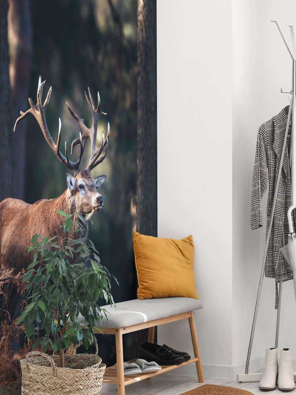 Un cerf sur une colline