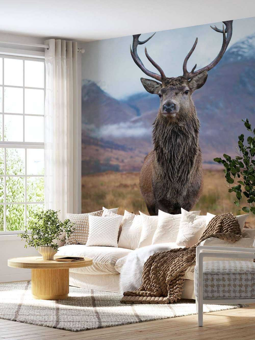 Cerf dans les montagnes
