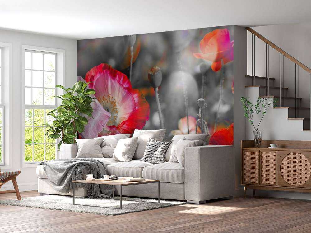 Coquelicots en noir, blanc, rouge