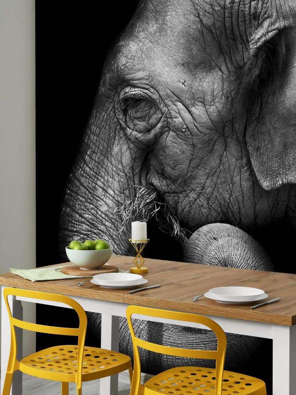 Portrait d'éléphant