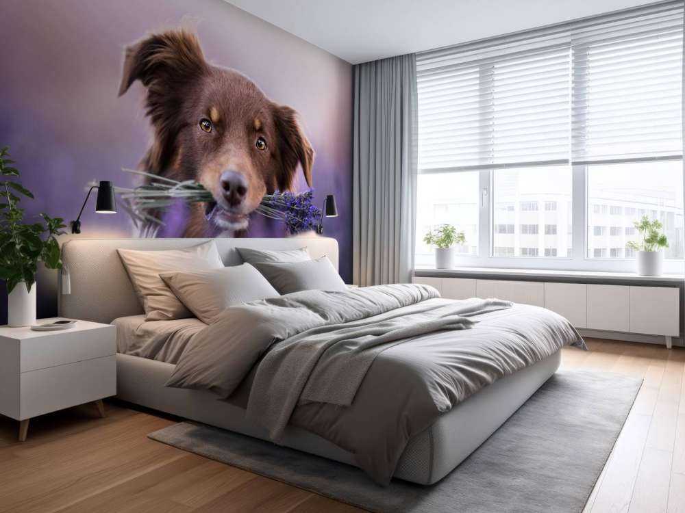 Chien à la lavande