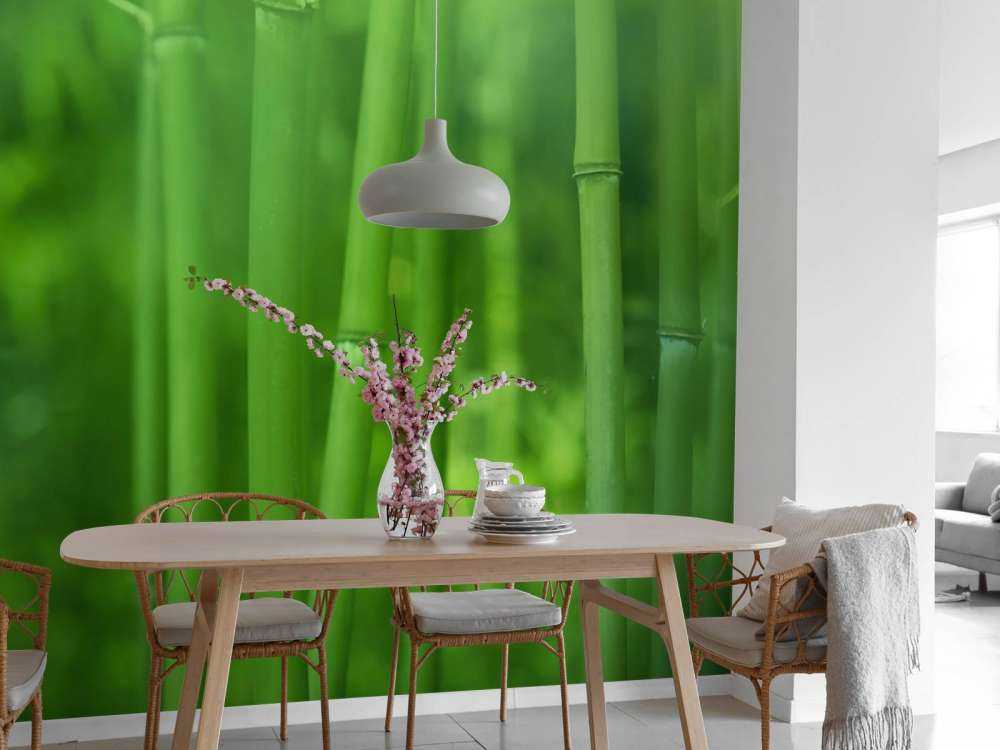Bambou et feuilles
