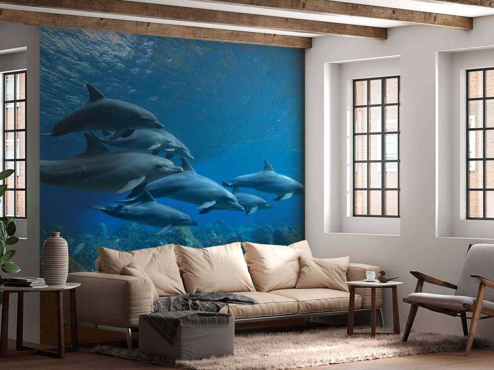 Dauphins et rochers